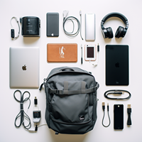 Travel Accessories For Electronics