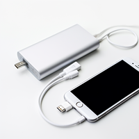 Charger Power Bank