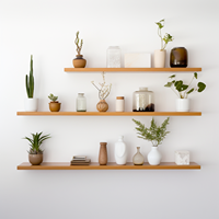 Wall Shelves And Storage
