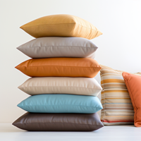 Cushions And Pillow