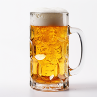 Glass Beer Stein