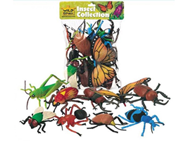 Insect Educational Kits