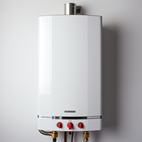 Gas Water Heater