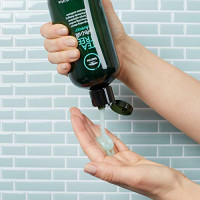 Tea Tree Tea tree special shampoo, 33.8 Fl Oz: Paul Mitchell: Premium Beauty