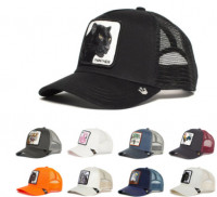 cap baseball cap