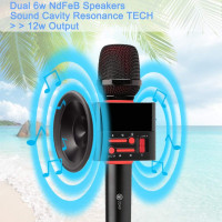 2049 X50 2x13w Cardioid Dynamic Karaoke Microphone, Handheld Wireless Bluetooth Karaoke Systems Karaoke Microphone for Home/Outdoor/Party/Classroom/Car Compatible with Smart phone/PC/Mp3/Mp4/TV