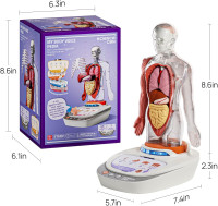Science Can Human Body Model for Kids, Interactive Human Anatomy Talking Model - 11 Inch Realistic Anatomical Assembly Kit 15PCS Removable Parts and Guide STEM Educational Toys for Kids Aged 6+ Gifts