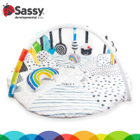 Sassy Stages STEM Developmental Play Gym, Sensory Tummy Time Activity Play Mat w/Built-in Instructions, Ultra Plush & Machine Washable Playmat for Babies & Toddlers, 0+ Months