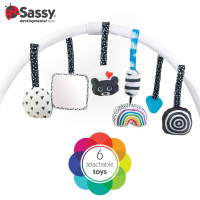 Sassy Stages STEM Developmental Play Gym, Sensory Tummy Time Activity Play Mat w/Built-in Instructions, Ultra Plush & Machine Washable Playmat for Babies & Toddlers, 0+ Months Tummy Time Milestone Activity Playmat