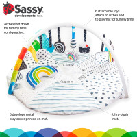 Sassy Stages STEM Developmental Play Gym, Sensory Tummy Time Activity Play Mat w/Built-in Instructions, Ultra Plush & Machine Washable Playmat for Babies & Toddlers, 0+ Months