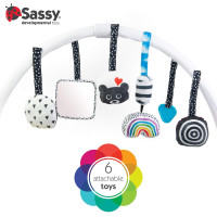 Sassy Stages STEM Developmental Play Gym, Sensory Tummy Time Activity Play Mat w/Built-in Instructions, Ultra Plush & Machine Washable Playmat for Babies & Toddlers, 0+ Months