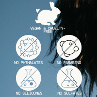 Pacifica Coconut Milk Hair Detangler Spray – Leave-In Conditioning Elixir for Tangle-Free Hair – Instantly Detangles Knots, Adds Shine & Moisture, Prevents Breakage & Frizz – Vegan & Cruelty-Free