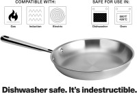 Misen 5-Ply Stainless Steel 10