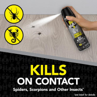 Raid Max Spider and Scorpion Killer, Kills Spiders, Scorpions, Roaches, Ants, Waterbugs, Earwigs, 12 Oz 12 Ounce (Pack of 1)
