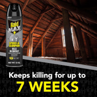 Raid Max Spider and Scorpion Killer, Kills Spiders, Scorpions, Roaches, Ants, Waterbugs, Earwigs, 12 Oz 12 Ounce (Pack of 1)