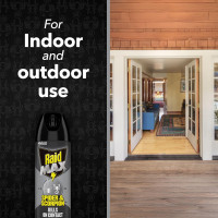 Raid Max Spider and Scorpion Killer, Kills Spiders, Scorpions, Roaches, Ants, Waterbugs, Earwigs, 12 Oz 12 Ounce (Pack of 1)