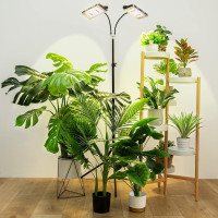 LORDEM Grow Light with Stand, Full Spectrum LED Plant Light for Indoor Plants, 200W Dual Heads Grow Lamp with Auto On/Off Timer, 3 Lighting Modes, 6 Dimmable Levels, Adjustable Tripod 15-63 inches Dual-Head Timer