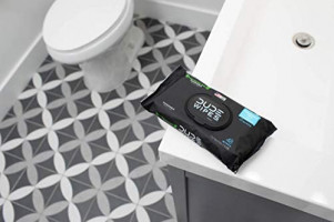 DUDE Wipes Flushable Wipes (48 Count Dispenser and 30 Single Wipes) Individually Wrapped & Dispenser Natural Unscented with Vitamin-E & Aloe: Computers & Accessories