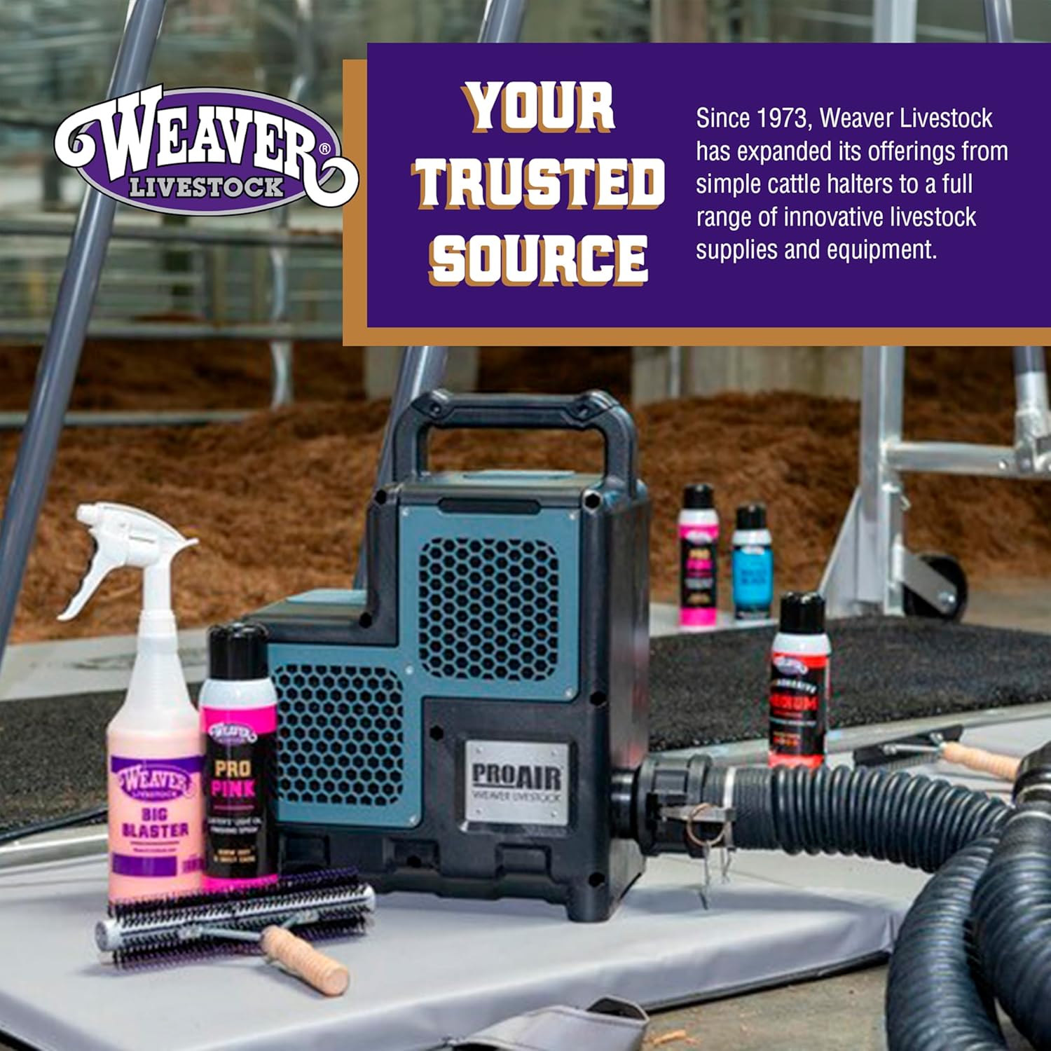 Weaver Livestock Basic Pig Show Whip with Chrome Tipped Handle, Hog Livestock Whip for Show Ring Competition, Leather Pig Whips for Showing Black 36