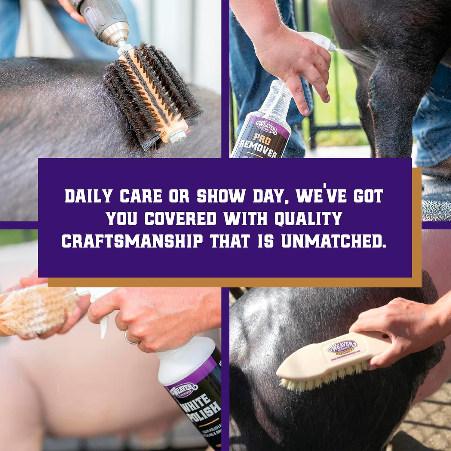 Weaver Livestock Basic Pig Show Whip with Chrome Tipped Handle, Hog Livestock Whip for Show Ring Competition, Leather Pig Whips for Showing Black 36