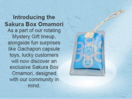 Sakura Box Japanese Candy & Snacks Dagashi Set & Pamphlet 50 Pieces Japanese Food Gift Box