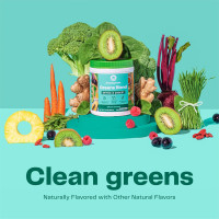 Amazing Grass Greens Superfood Detox & Digest: Greens Powder with Digestive Enzymes & Probiotics, Clean Green, 30 Servings (Packaging May Vary) Detox & Digest 30 Servings (Pack of 1)