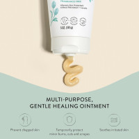 The Honest Company Head to Toe Multi-Purpose Healing Ointment | Safe for Sensitive Skin | Hypoallergenic, Fragrance Free, Vegan | 5 oz Multi-Purpose Healing Ointment, 5 oz