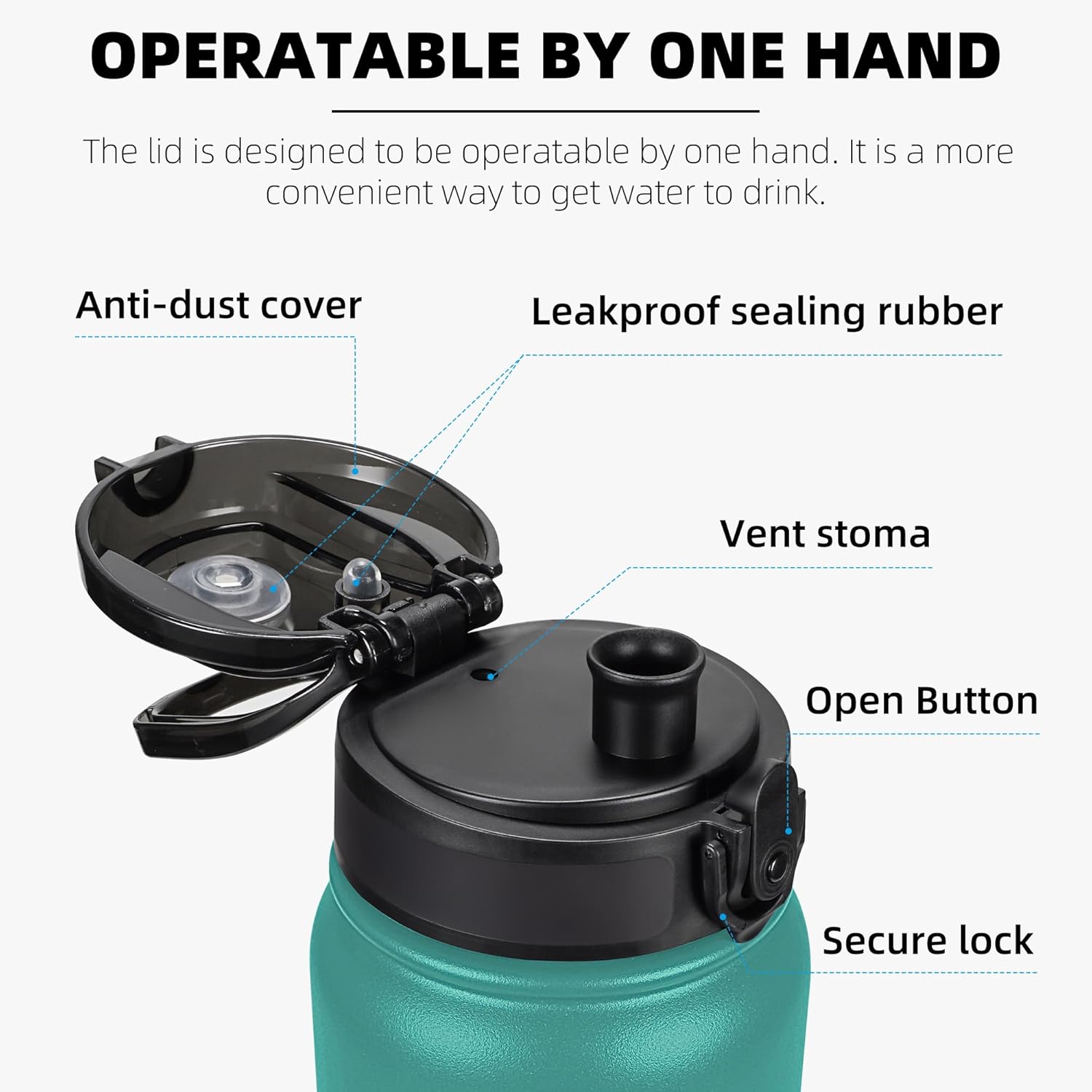 Fanhaw 20 Oz Insulated Stainless Steel Water Bottle with Chug Lid - Leak & Sweat Proof with Anti-Dust Lid (Green Blue) 20 Ounces Green Blue