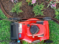 EcoBorder L No-Dig Rubber Landscape Edging with Hardware, 3.125