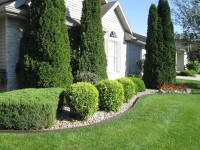 EcoBorder L No-Dig Rubber Landscape Edging with Hardware, 3.125