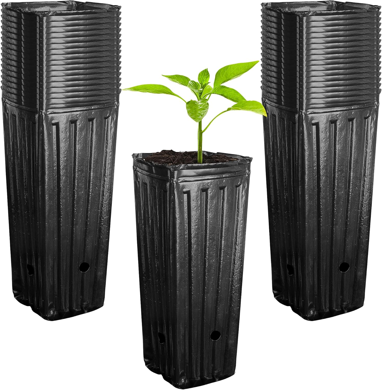 RunNico 50pcs Plastic Deep Plant Nursery Pots,11.8”Tall Tree Pots,Black Deep Seedling Container Pots with Drainage Holes for Indoor Outdoor Gardening (3.9