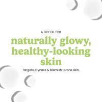 Timeless Skin Care Squalane Oil 100% Pure - Plant-Based Face Oil - Fragrance-Free - For Dry Skin - Moisturizing - 2 oz 2 Fl Oz (Pack of 1)