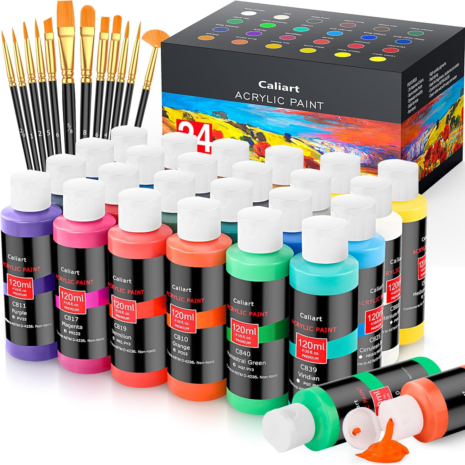Caliart Acrylic Paint Set with 12 Brushes, 24 Colors (120ml, 4oz) Art Craft Paints for Artists Kids Students Beginners & Painters, Canvas Ceramic Wood Rock Painting Art Supplies Kit 4 Fl Oz (Pack of 24) Multicolor