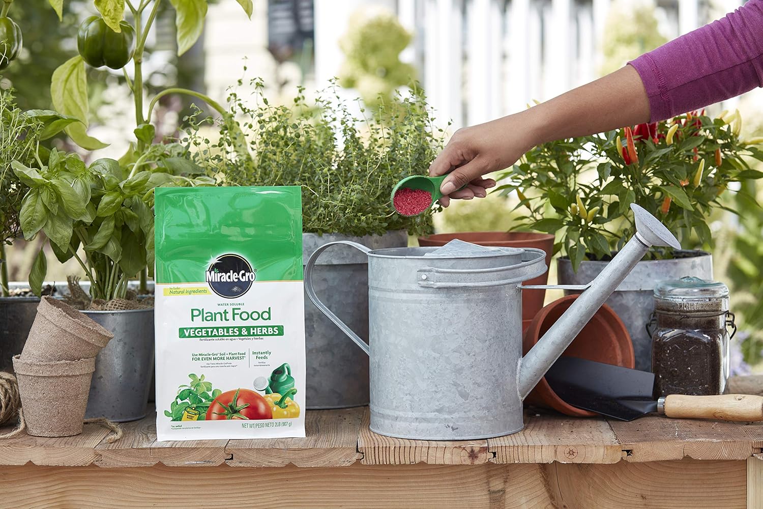 Miracle-Gro Water Soluble Plant Food Vegetables & Herbs 2 lb
