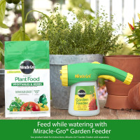 Miracle-Gro Water Soluble Plant Food Vegetables & Herbs 2 lb