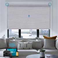 Motorized Roller Shade,100% Blackout Smart Window Blinds Work with Homekit, Alexa, Google Home,Remote,Electric Blinds with USB/Solar Pannel Charging,Classic Grey