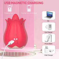 Toy Vibrator Women CCVOO Tongue Licking UUC Sex Stimulator 2 in 1 Multiple Modes Clitoral Nipple Vibrator Massager Masturbator Portable Adult Sex Toys Female Couples(Licking) 1.0 Count