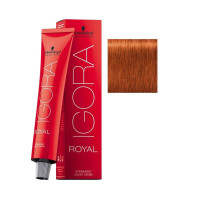 Schwarzkopf Igora Royal Hair Color Creme 7-77 Medium Blonde Copper Extra 60 ML 2.1 Ounce (Pack of 1) Copper