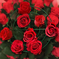 TCBWFY 4 Sets Peony Support Cage,10