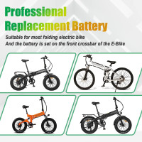 YLuBik Electric Bike Battery - 48V 10Ah, Folding Electric Bicycle 480Wh Replacement Battery,Li-ion Battery with Conversion Kit, Motor Max Power 350W