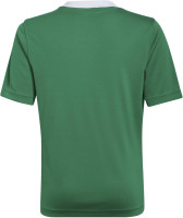 adidas Kids' Entrada 22 Jersey Medium Team Green/White