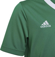 adidas Kids' Entrada 22 Jersey Medium Team Green/White