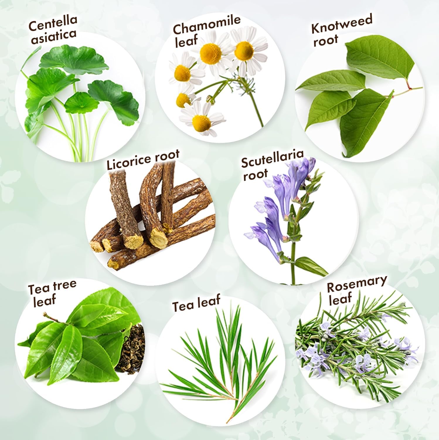 KisoCare Azelaic Acid for Face 15% Serum Niacinamide Vitamin C BALANCING ESSENCE AZ 1 Fl Oz MADE IN JAPAN