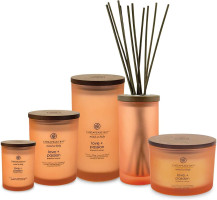 Chesapeake Bay Candle PT31905 Scented Candle, Love + Passion (Grapefruit Mango), Medium, Home Décor Love + Passion Medium Jar