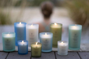 Chesapeake Bay Candle PT31905 Scented Candle, Love + Passion (Grapefruit Mango), Medium, Home Décor Love + Passion Medium Jar