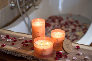 Chesapeake Bay Candle PT31905 Scented Candle, Love + Passion (Grapefruit Mango), Medium, Home Décor Love + Passion Medium Jar