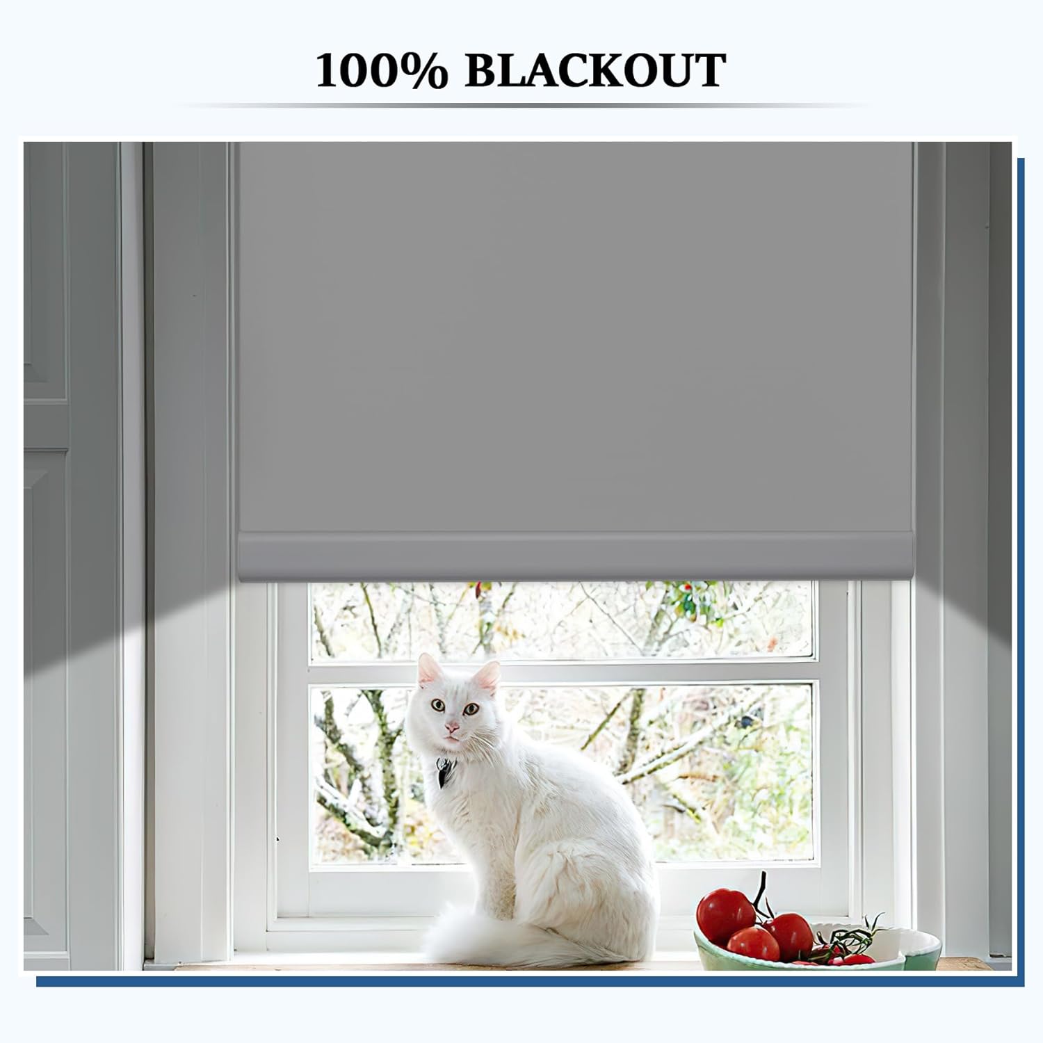 Grandekor Motorized Roller Shade with Remote Control,Motorized Blinds 100% Blackout Electric Shades, Cordless Window Blinds Shades for Bedroom Living Room Office,White,W27 xH72 White 27