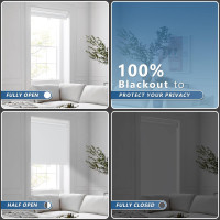Grandekor Motorized Roller Shade with Remote Control,Motorized Blinds 100% Blackout Electric Shades, Cordless Window Blinds Shades for Bedroom Living Room Office,White,W27 xH72 White 27