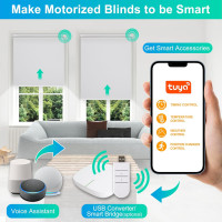 Allesin Motorized Roller Blinds with Remote Control for Windows, Blackout Smart Roller Shade, Battery Powered Electric Smart Blind (White,H72 x W31) White 31
