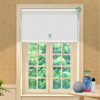Allesin Motorized Roller Blinds with Remote Control for Windows, Blackout Smart Roller Shade, Battery Powered Electric Smart Blind (White,H72 x W31) White 31